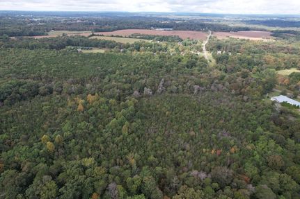 Timberland Property for sale in DeKalb County, Alabama