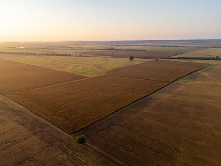 Property in Ray County, Missouri