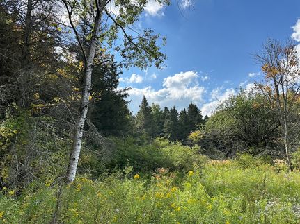 Recreational Property for sale in Allegany County, New York