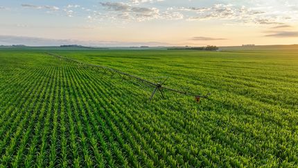 Ranch Property for sale in Dixon County, Nebraska