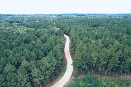 Undeveloped Land for sale in Elbert County, Georgia