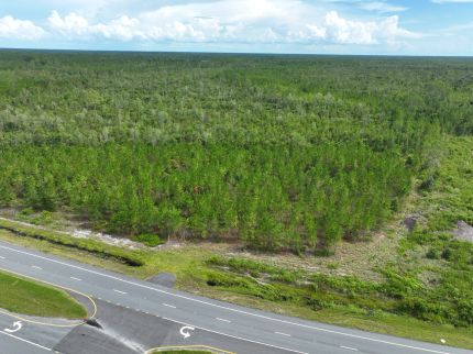 Recreational Property for sale in Clinch County, Georgia