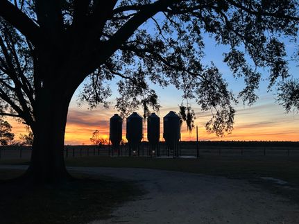 Farm Property for sale in Suwannee County, Florida