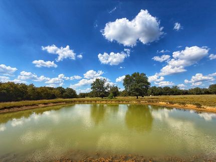 Property in Limestone County, Texas