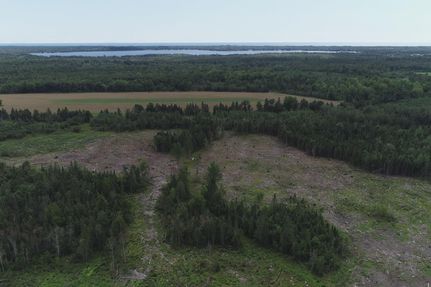 Undeveloped Land for sale in Schoolcraft County, Michigan