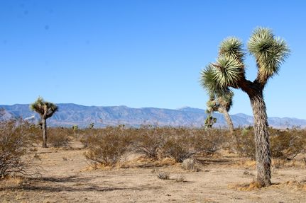 Property for sale in San Bernardino County, California