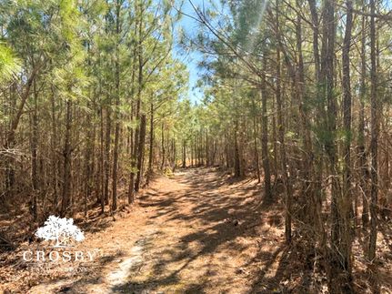 Property in Kershaw County, South Carolina