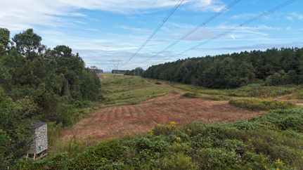 Property for sale in Pike County, Alabama