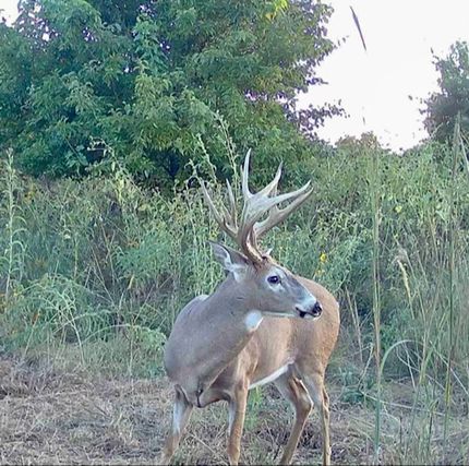 Undeveloped Land for sale in Kay County, Oklahoma