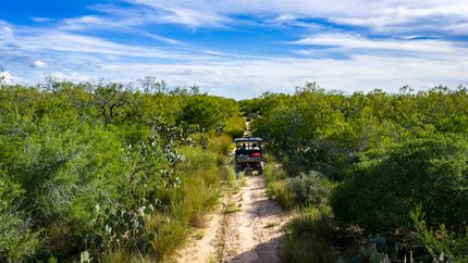 Property for sale in Duval County, Texas