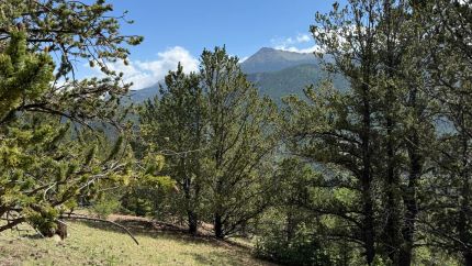 Hunting Land for sale in Teller County, Colorado