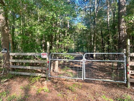 Property in Wilcox County, Georgia