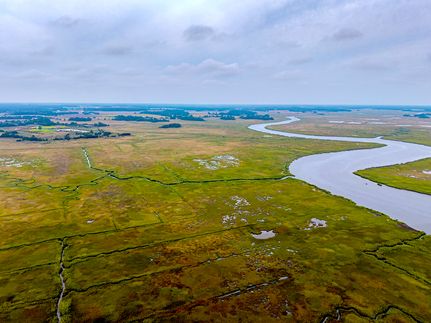 Hunting Land for sale in Sussex County, Delaware