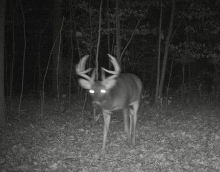 Property for sale in Hardin County, Illinois