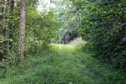 Residential Property for sale in Preston County, West Virginia