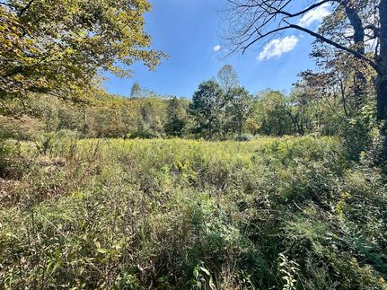 Undeveloped Land for sale in Franklin County, Indiana