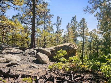 Property for sale in Las Animas County, Colorado