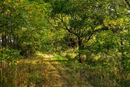 Property for sale in Lapeer County, Michigan