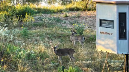 Property for sale in San Saba County, Texas