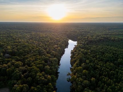 Property in Worth County, Georgia