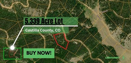 Undeveloped Land for sale in Costilla County, Colorado