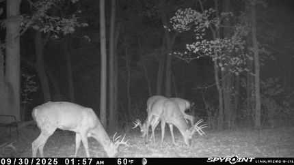 Property for sale in Carroll County, Kentucky