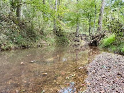 Property for sale in Winston County, Mississippi