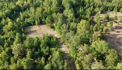 Property for sale in Lafayette County, Mississippi