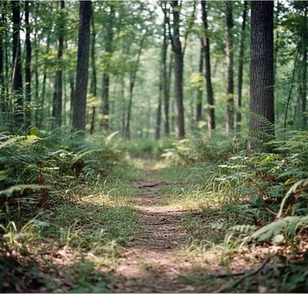 Property for sale in Fayette County, Tennessee