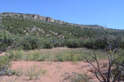 Property for sale in Coke County, Texas