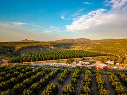 Farm Property for sale in Sierra County, New Mexico