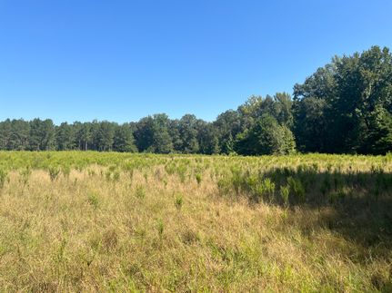 Property for sale in Jasper County, Mississippi