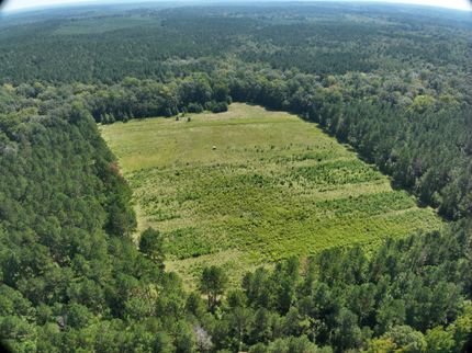 Hunting Land for sale in Jasper County, Mississippi