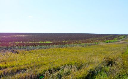 Property for sale in Lyman County, South Dakota