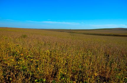 Property for sale in Lyman County, South Dakota