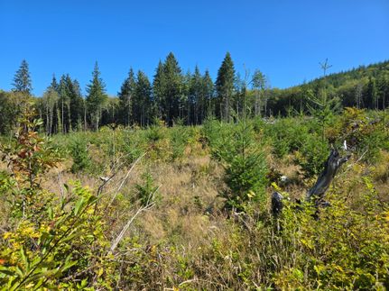 Timberland Property for sale in Grays Harbor County, Washington