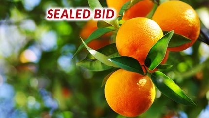 Undeveloped Land for sale in Fresno County, California