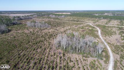 Timberland Property for sale in Wayne County, Georgia