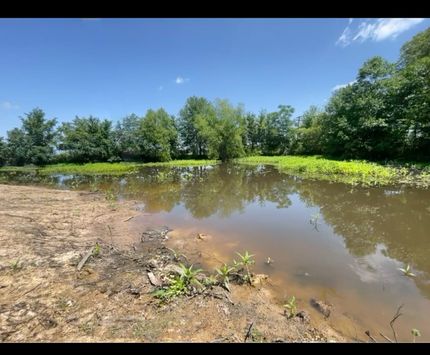 Hunting Land for sale in Arkansas County, Arkansas