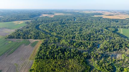 Property for sale in Wayne County, Illinois