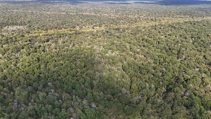 Residential Property for sale in Ouachita Parish, Louisiana