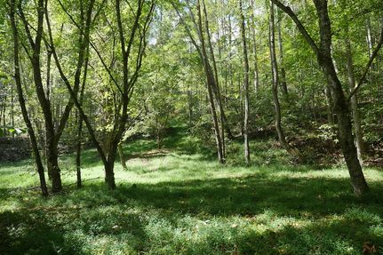 Hunting Land for sale in Scott County, Virginia