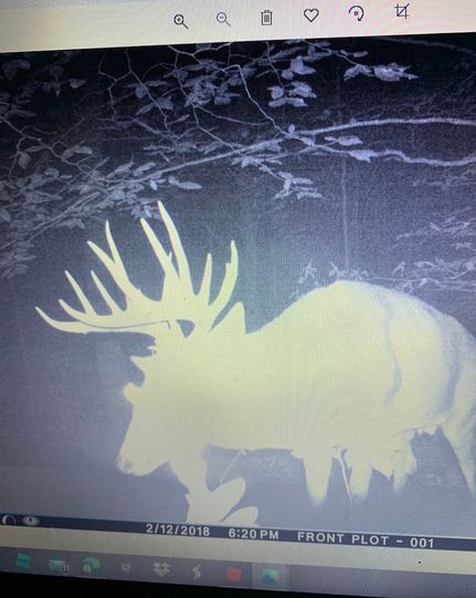 Property in Owsley County, Kentucky