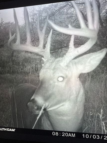 Property in Ringgold County, Iowa