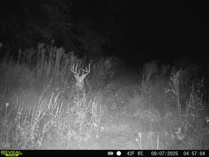 Property for sale in Fulton County, Illinois