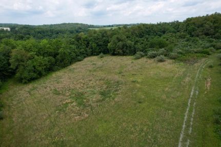 Undeveloped Land for sale in Westmoreland County, Pennsylvania
