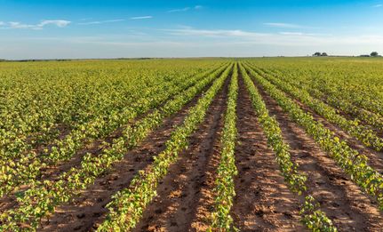 Undeveloped Land for sale in Childress County, Texas