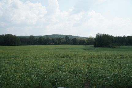 Property for sale in Marion County, Alabama