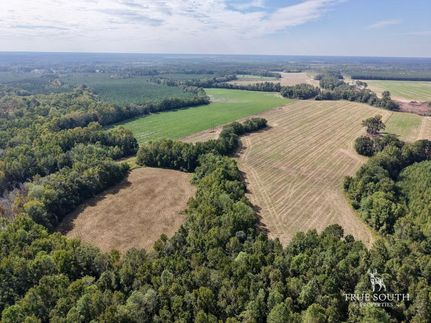 Property for sale in Allendale County, South Carolina