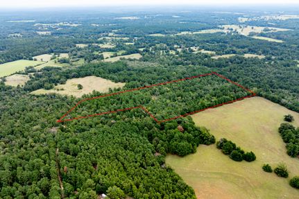 Undeveloped Land for sale in Houston County, Texas